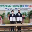 농협양곡(주)무안통합미곡종합처리장 이미지