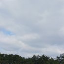 삼문공설운동장 네이버블로그