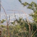 황새울농장 이미지