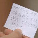 동산 | 부천 원미산 진달래동산 방문 후기