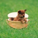 민락동물병원 이미지