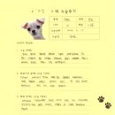 1293 | [#1293] 은샘(양측 슬개골탈구 G3)의 수술후기