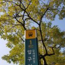 ﻿강남 압구정동 43평형 압구정현대아파트 전세 임대 관련 디스코드 서버 안내(한강변 아파트) (20230101) 이미지