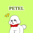 레스트하우스 | 부산 기장 애견 동반 숙소 레스트필드 힐 펜트하우스 페텔 예약