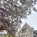 신나는 중국어 | &lt;25-1&gt; &#34;이화여대에서 만나는 어린이 중국어 교육의 세계&#34; (+유초등국제중국어교육 재학생 종강후기)