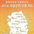 2014년도 전국 국립공원 단풍 지도 이미지