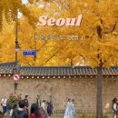 효자로 | 서울 단풍 명소 코스 추천 효자로 경복궁 고궁박물관 은행나무 실시간 후기