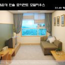 한솔로이젠트 이미지