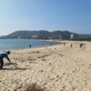 관성솔밭해변 이미지