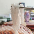 노다지수산 이미지