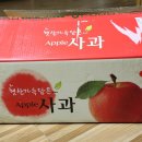 영승농장 | 맛있는 사과 추천, 안동사과, 안동영승농장 사과