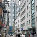 댕댕댕 유치원 | 효창공원 카페 로로커피 로스터스 스콘 추천