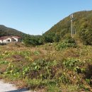 신라부동산공인중개사사무소 이미지