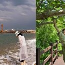 이영애농장 이미지