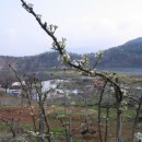 산막이옛길 하얀집 이미지