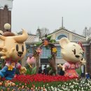 오늘 함께 | 주말 에버랜드 튤립축제 눈치게임 대성공? 오늘 다녀온 튤립축제 후기(벚꽃도 함께)