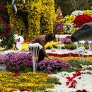 해남군-12 이미지