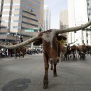 숲 in the grove 이미지