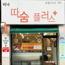 티나따숨플러스