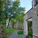 나인브릿지콘도미니엄 이미지