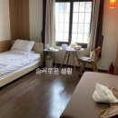 보람병원 산후조리원 네이버블로그