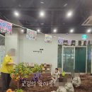 판교 키즈카페 째깍섬 바운스 프로그램 예약 방법 입장권 할인 방법 및 파미어스몰 주차요금 등 상세 꿀팁