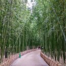 명신관광 이미지