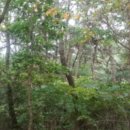 반송동251 이미지