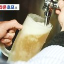 김호프