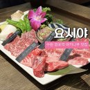 망포역 맛집 요시야 야키니쿠 후기｜분위기 좋은 영통 일본식 화로구이