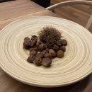 평Dog 스테이 | 힐리언스 선 마을