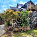 행원소담 이미지