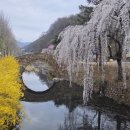 원다리길 이미지