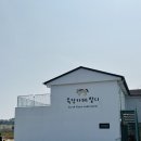 선호목장 | 서귀포카페 : 목장카페 밭디_승마체험/말먹이주기 체험 후기(feat. 유의사항)