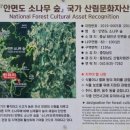 캐리비안리조트 이미지