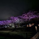 한정보건진료소 이미지