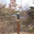감악산정원 티스토리