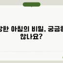 하루시작 이미지