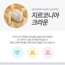 진치과기공소 이미지