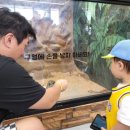 수달앤쥬 이미지