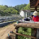 새샘농장 이미지