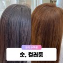 구리 수택동 미용실 헤어샵 염색방 순,컬러룸 만족도 최고