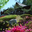 계명산자연휴양림 야외물놀이장 이미지