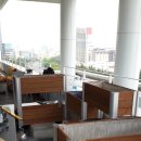 아쿠아플랜트디자인 이미지