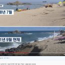 20여 일만에 사라진 강릉 해변 모래사장… 이미지