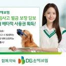 264 이미지
