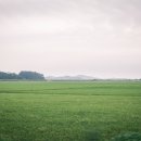 해남항일운동추모비 이미지