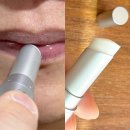 에스(S)다이어리몰 | 무신사뷰티 성시경립밤 에스네이처 스쿠알란 24시간속보습 남자립밤 추천