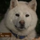 밈밈 이미지