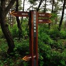 아라메길(1-1) 이미지